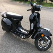 Scoter-noir-7