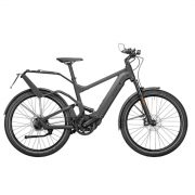 Delite GT rohloff HS grey