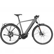 Roadster touring GRIS1