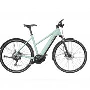 Roadster touring salvia